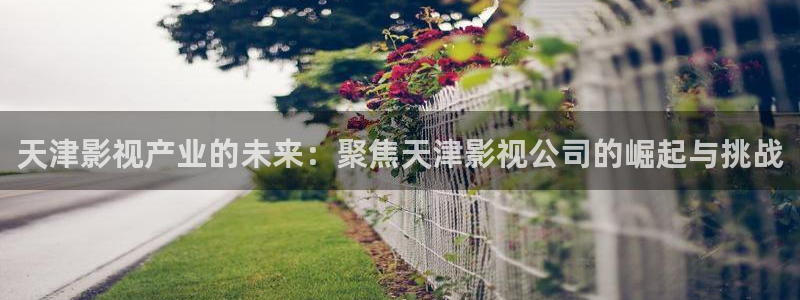 97伊人影院：天津影视产业的未来：聚焦天津影视公司的崛起与挑战