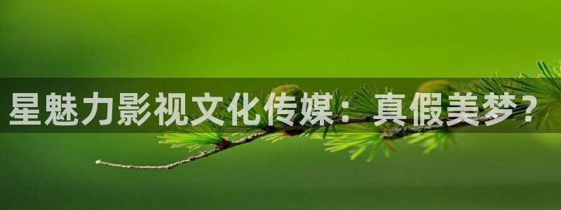 97视频观看免费