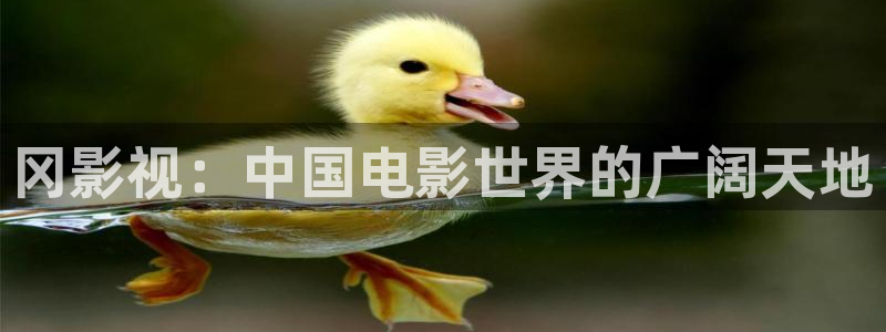 97这里有精品热视频