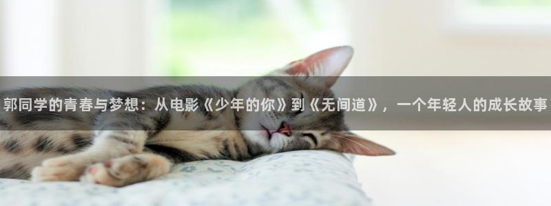 97视频共享