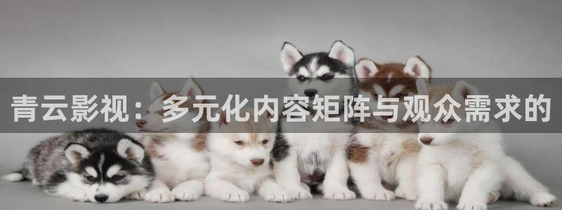 97综合视频专区