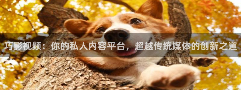 97视频色看看