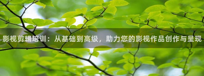 超碰97人人干人人爱